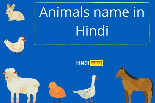 Wild and Domestic Animals name in hindi and english- जानवरों के नाम हिंदी  में - Numbers Hindi