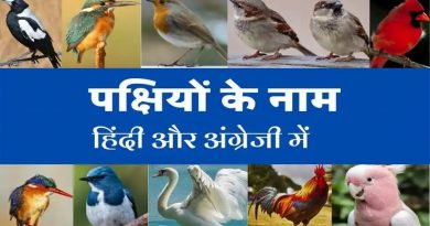 Indian Birds name in hindi and english with pictures – पक्षियों के नाम (List of Birds)
