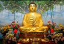 800 Gautam Buddha Images | God Gautam buddh wallpapers