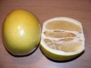 pomelo fruit