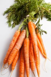 carrot | all vegetable's name