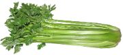 Celery | all vegetable's name
