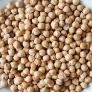 chickpeas | all vegetable's name