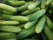 cucumber | all vegetable's name