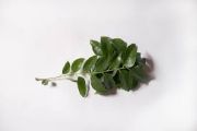 curry leaf | all vegetable's name