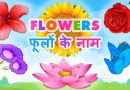 List of Flowers name in Hindi and english | Flowers name in Hindi (फूलों के नाम)