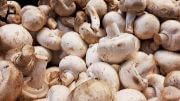 Mushroom | Vegetable name in English-Hindi 