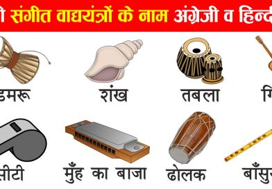 Musical instruments names and information with pictures – म्यूजिकल इंस्ट्रूमेंट्स के नाम हिंदी में