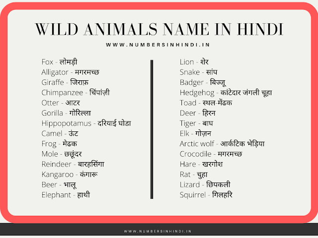 Wild animals name in hindi