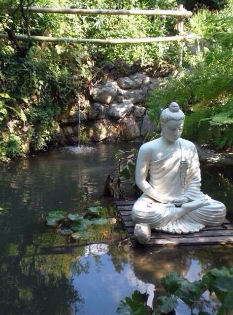 Picture of Buddha Statue