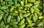 pointed gourd | Vegetable name in English-Hindi 