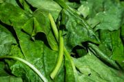 Spinach | Vegetable name in English-Hindi 