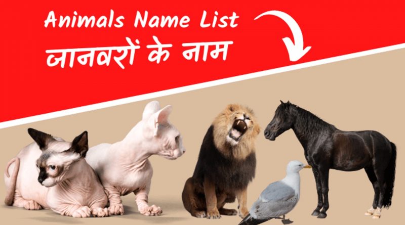 Wild and Domestic Animals name in hindi and english- जानवरों के नाम हिंदी में