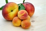 apricots