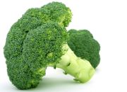 broccoli | vegetable name