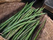 drum stick | vegetable name