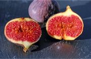 fig fruit