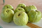 guava | fruit name