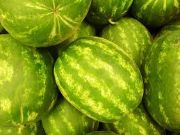 mouse melon | vegetable name