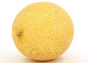 muskmelon 