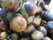 palmyra fruit 