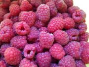 raspberry