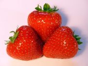 strawberry 