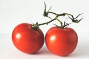 tomato | Vegetable name in english-hindi 