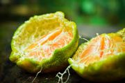 ugli fruit