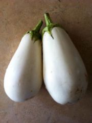white eggplant | vegetable name