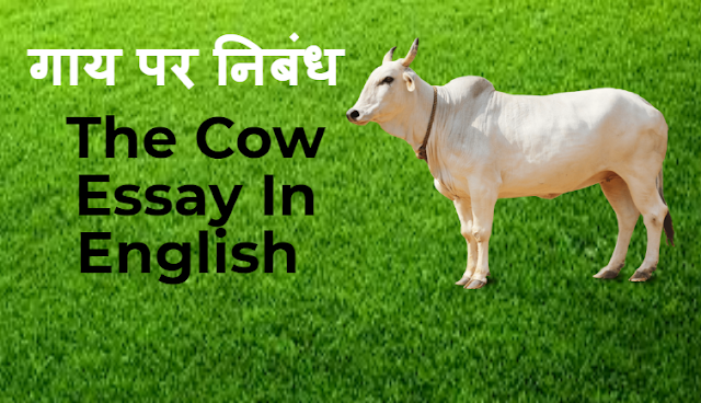 गाय पर निबंध - The Cow Essay In English 