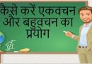  कैसे करें एकवचन और बहुवचन का प्रयोग – Use of Singular And Plural Number in English Grammar 