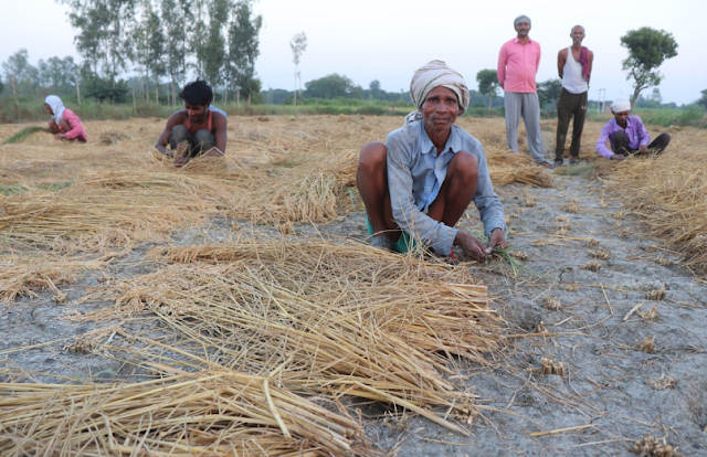 भारतीय किसान पर निबंध - Essay On Indian Farmer