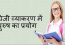 अंग्रेजी व्याकरण में पुरुष का प्रयोग – Use of Person in English Grammar