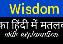Wisdom Meaning in Hindi